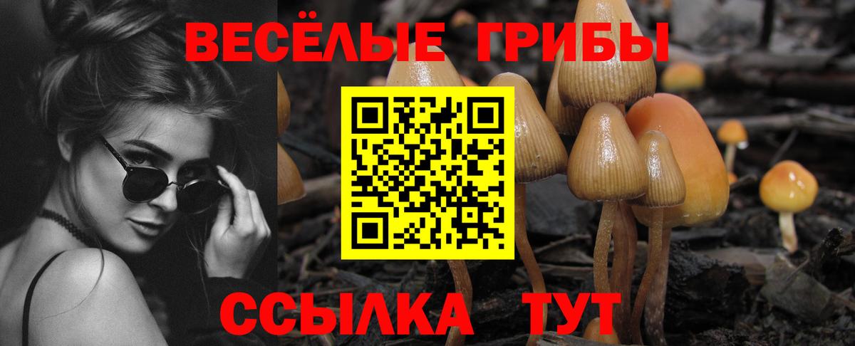 Дзержинский  Псилоцибиновые грибы мухоморы  закладки  Вход с VPN  Галлюциногенные грибы Psilocybe 